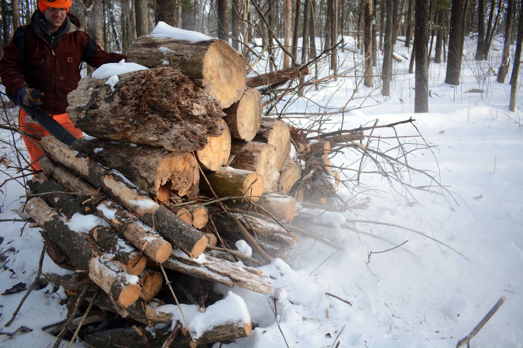 Devil's Lake east bluff stewardship work